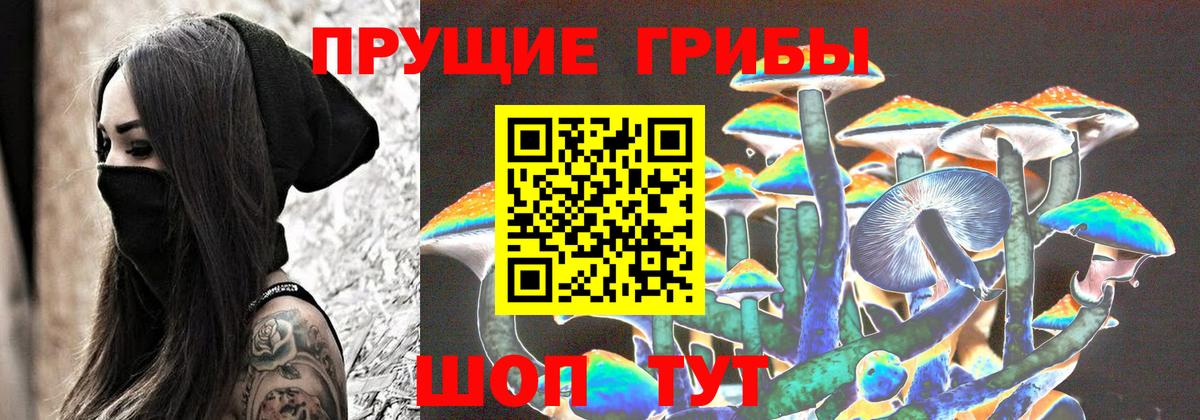 Галлюциногенные грибы мухоморы Великие Луки